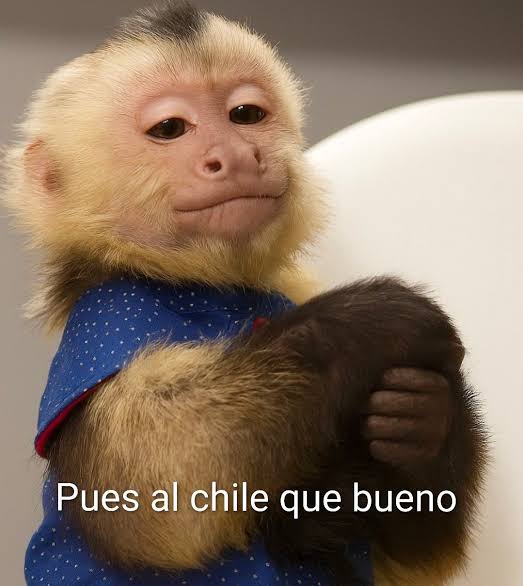 images (31)
