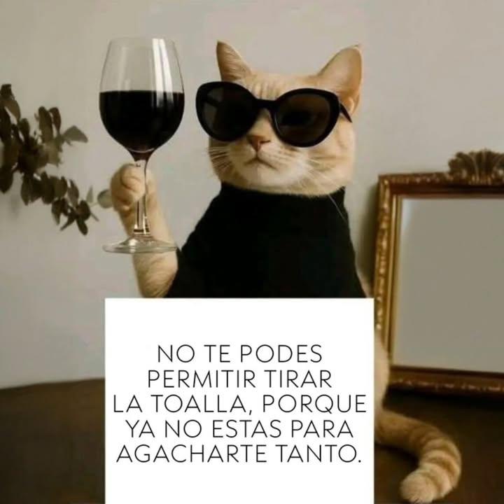 IMG_20251204_165627_704